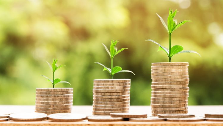 Economia per l’individuo